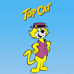 Top Cat v.&nbsp;TOPcat?
